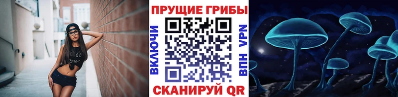цена наркотик  Стерлитамак  Псилоцибиновые грибы ЛСД 